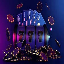 k59 bet